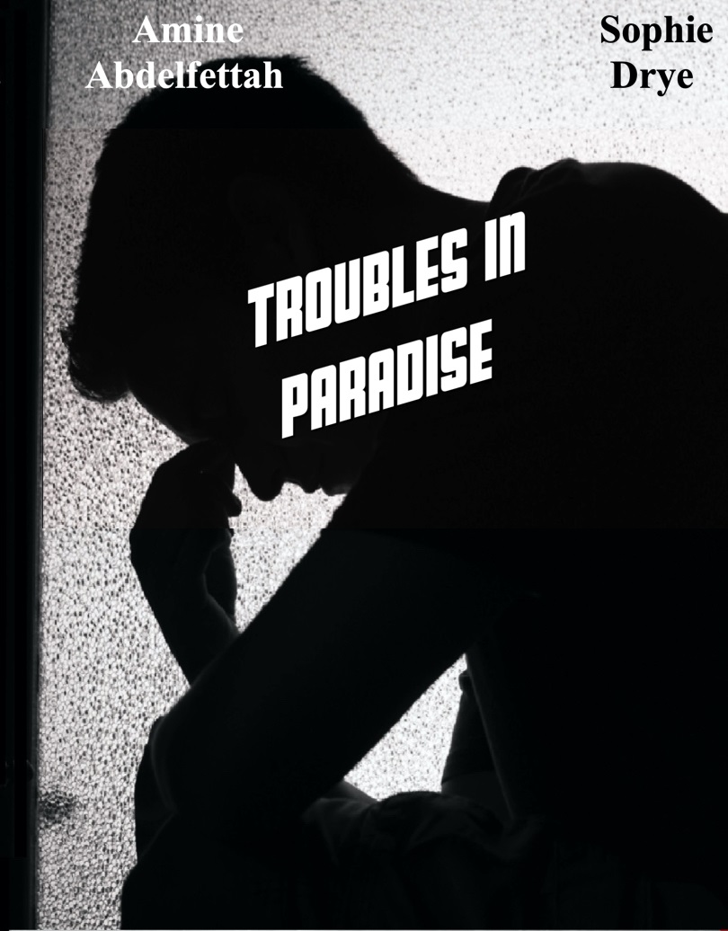 coverTtroubles in paradise